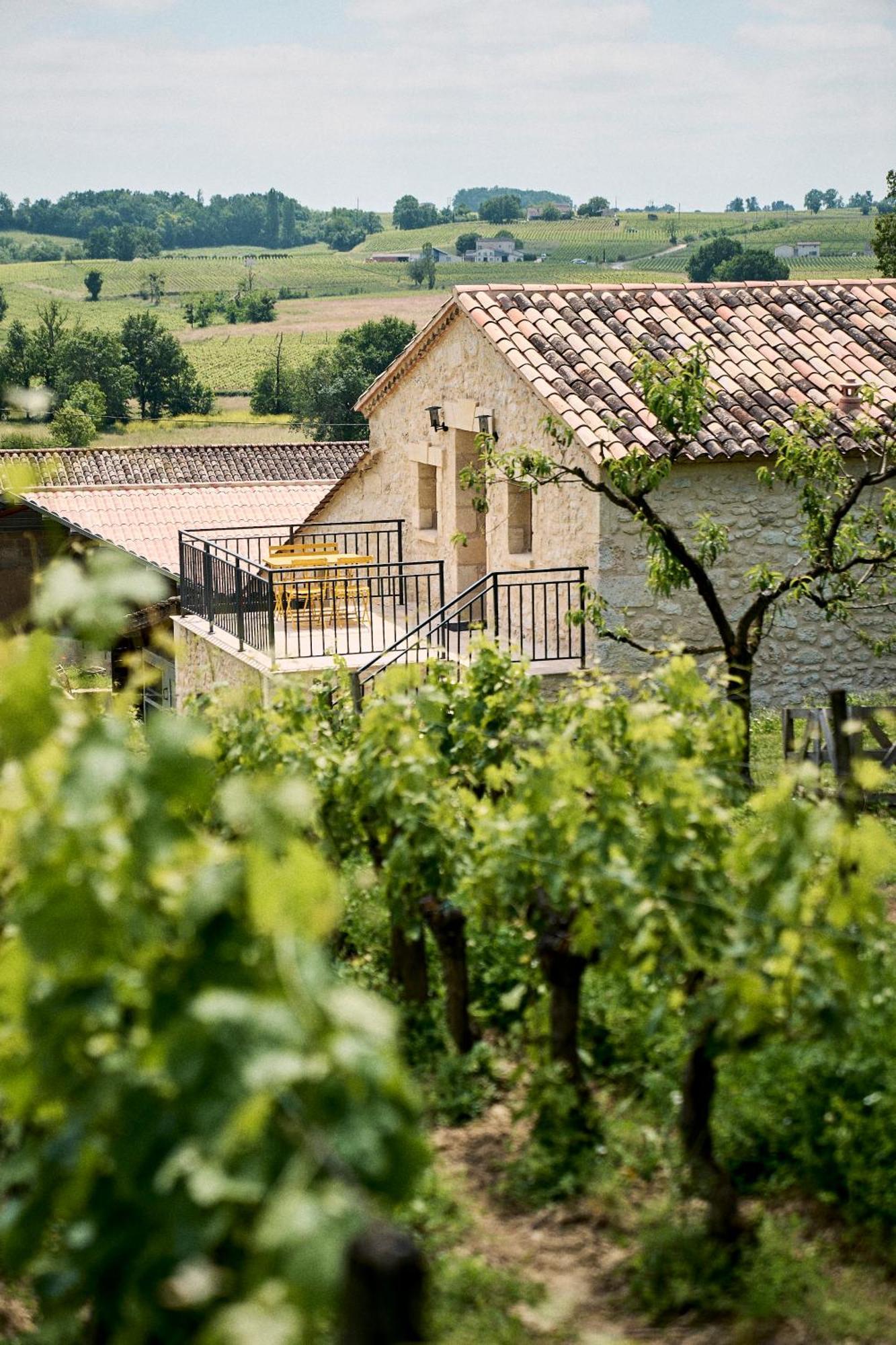 Gite Au Coeur Des Vignes Montagne  Kültér fotó